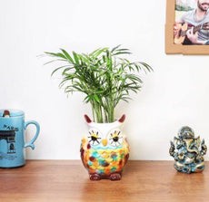 shop banner