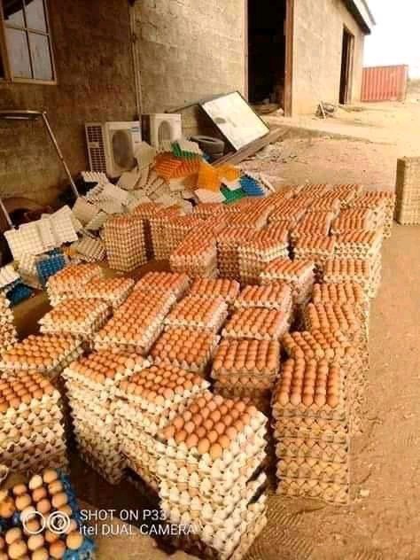 Eggs