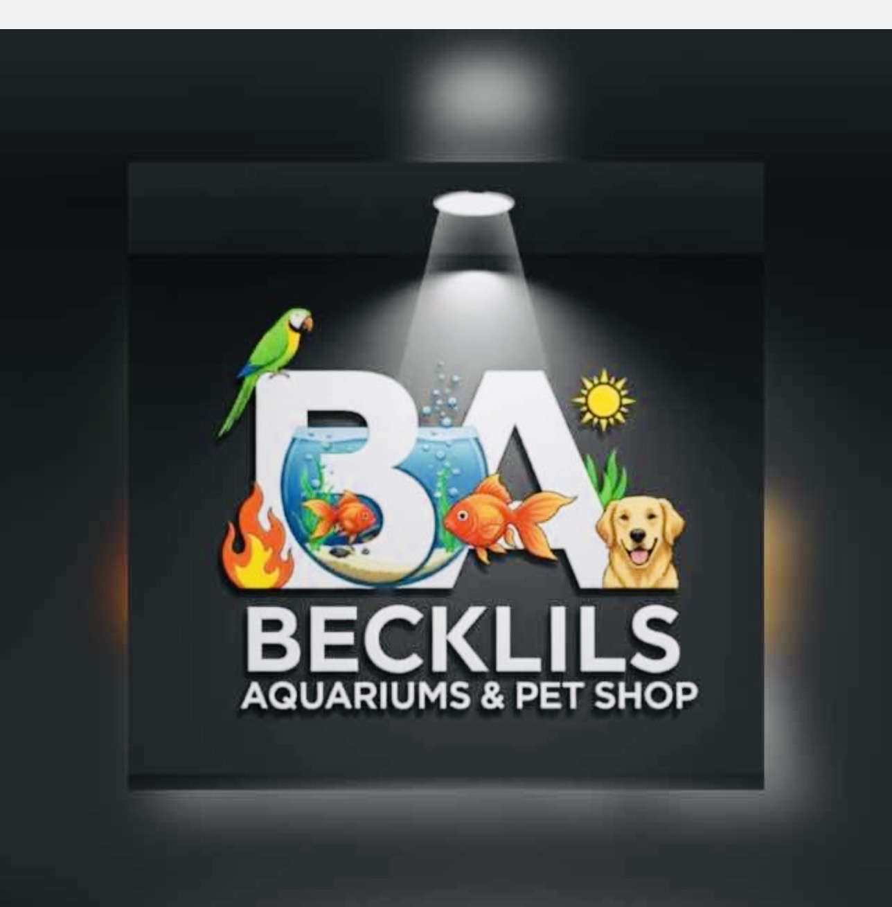 Becklils aquarium and petshop