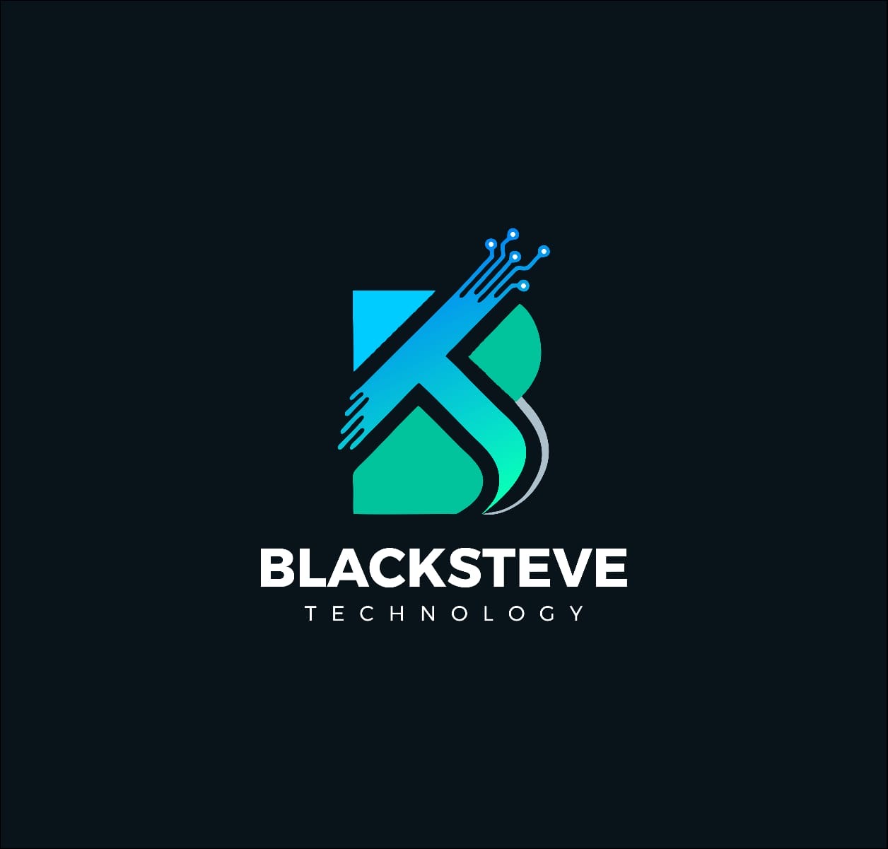 BLACKSTEVE TECHNOLOGY