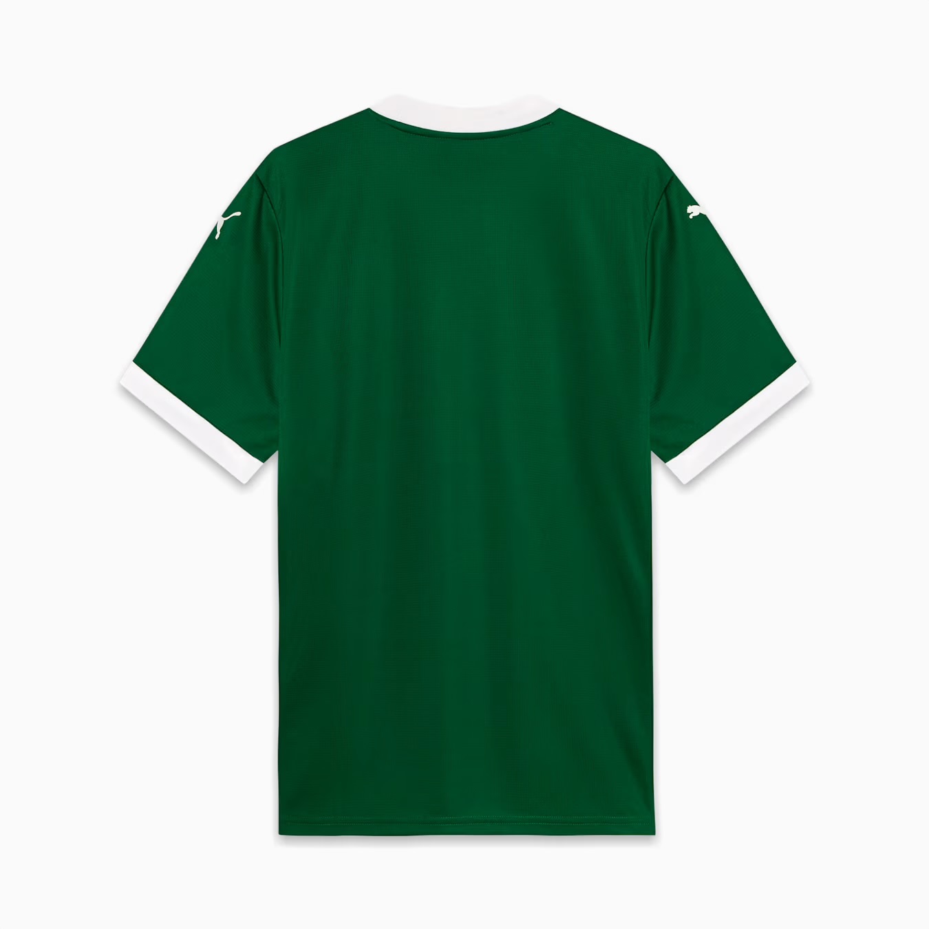 Palmeiras Home 25/26 - Fan Version