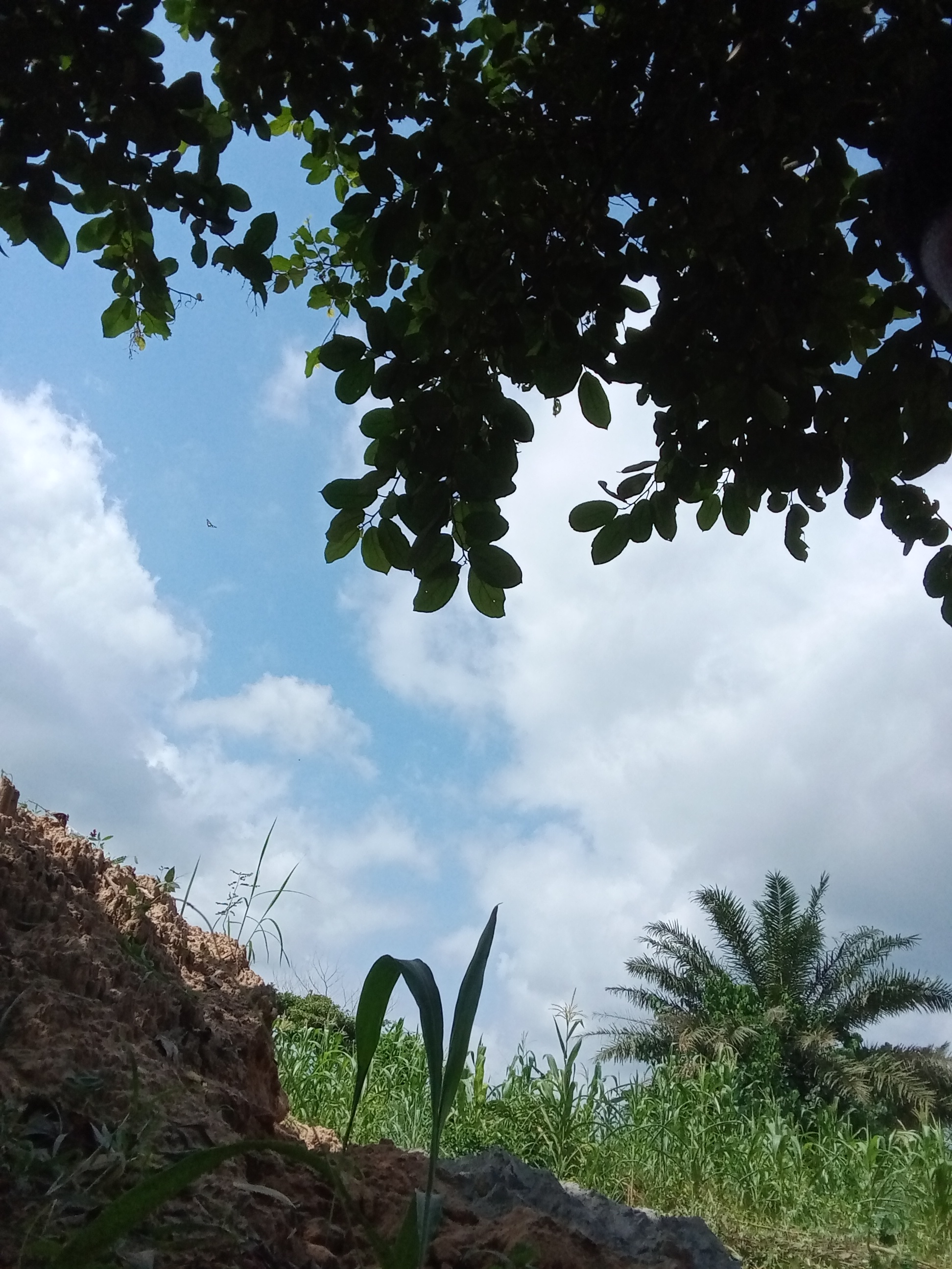 Owner ike real estate logo