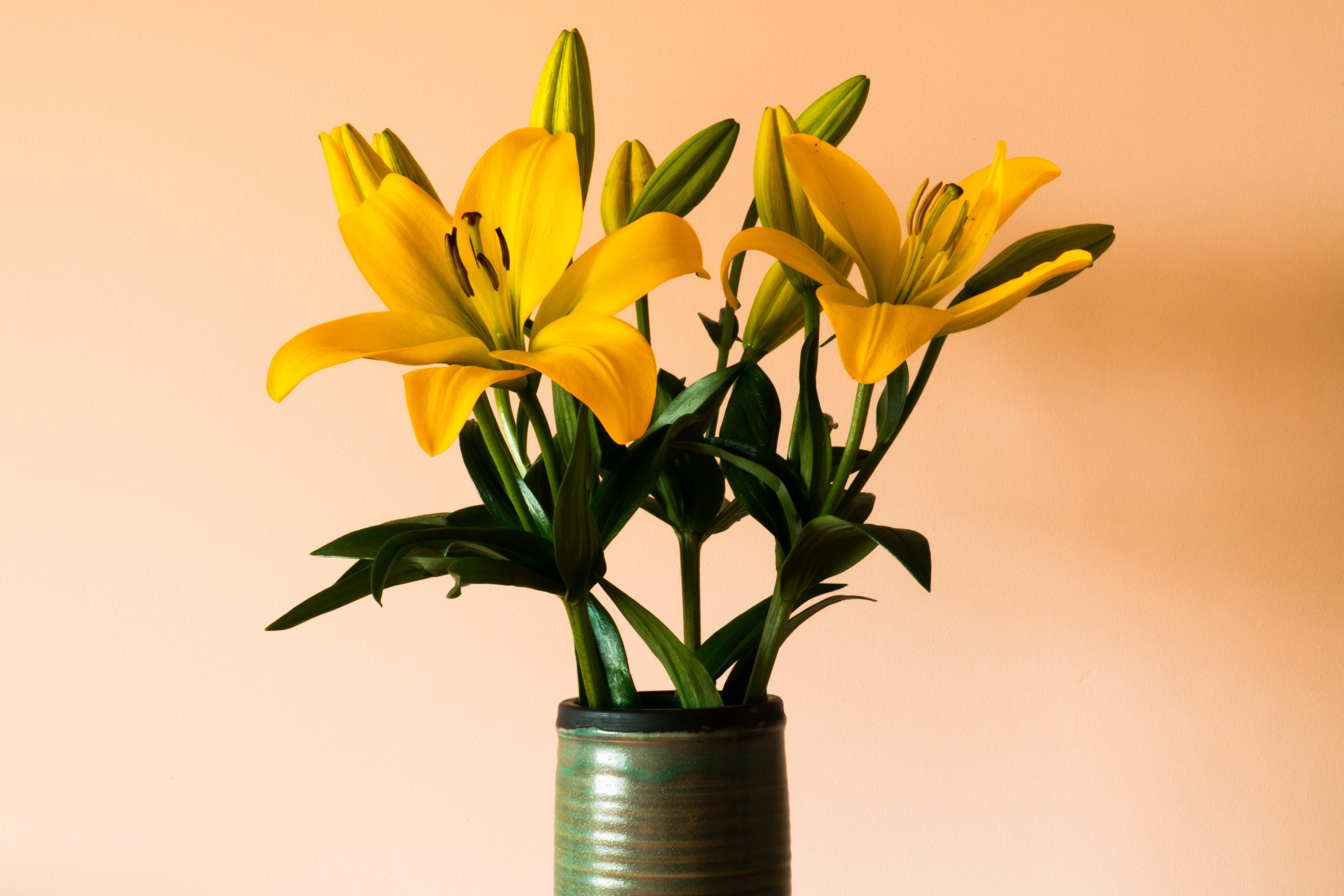 shop banner