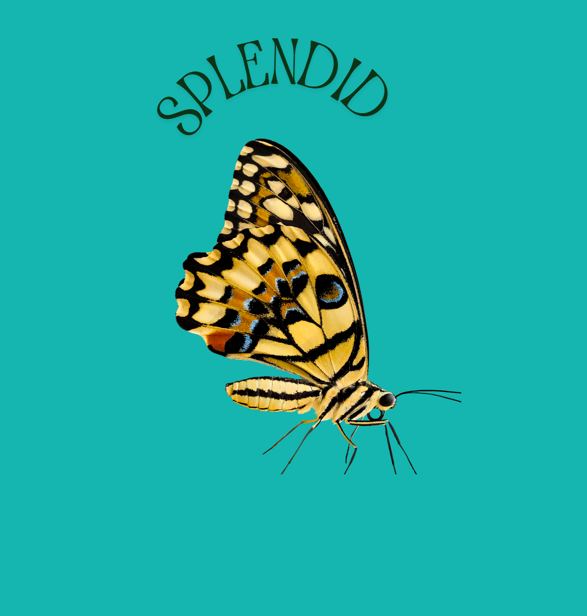 Eno