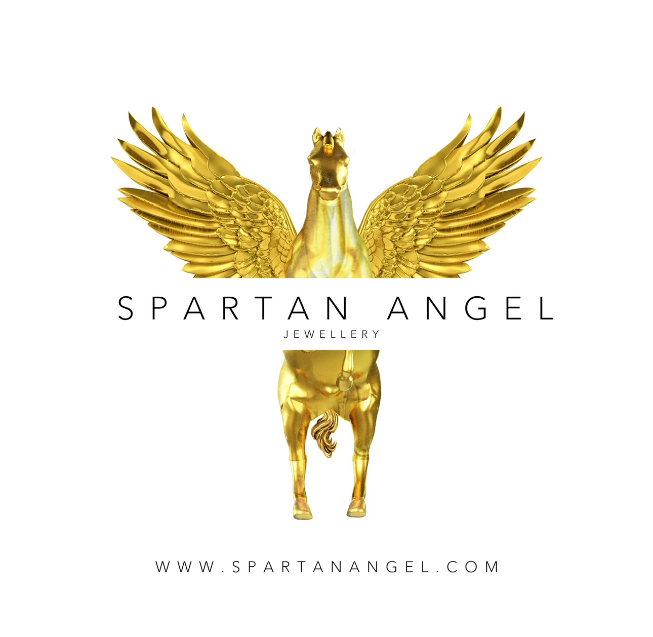 SPARTAN ANGEL